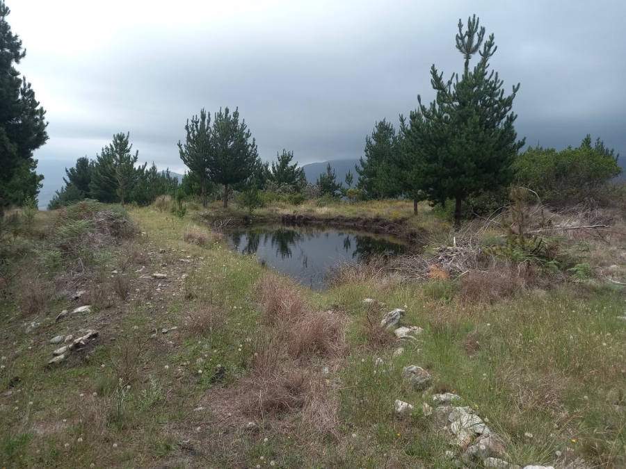  Bedroom Property for Sale in Riversdale Rural Western Cape